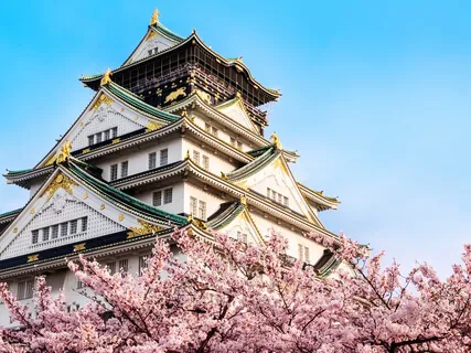 Mindfulness: The Power To Reflect & Resolve