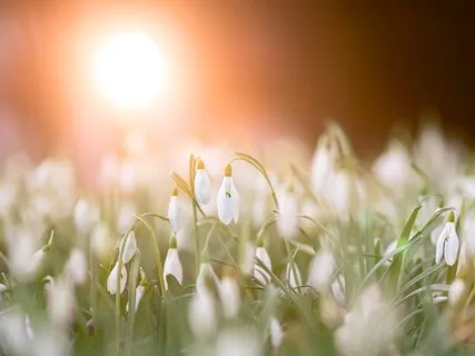 Mindfulness, Third Eye + Light Body Activation