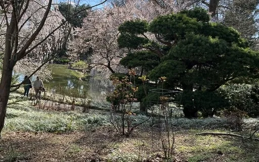 Mindfulness Through Our Five Senses