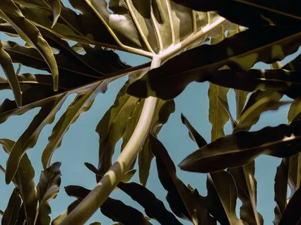 Mindfulness Through Vibrational Tingle Stimulation | Lose Yourself In Sound Bath