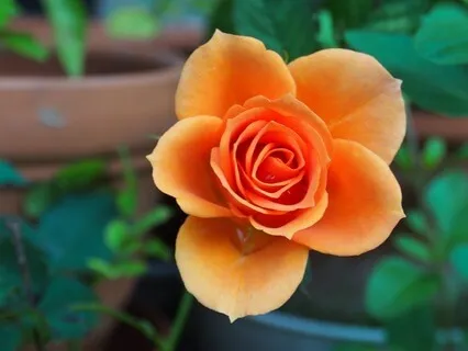 Mindfulness Throughout Your Day