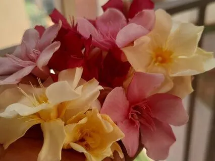 Mindfulness To Send Love To Your Triggers