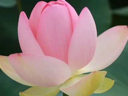 Mindfulness To Support Your Personal Practice