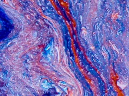 Mindfulness: Today Is The Day