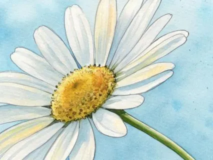 Mindfulness With The Body — A Gentle Body Awareness Practice