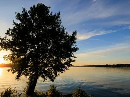 Mindfulness Workshop: Power Of Awareness