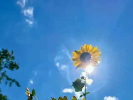 In This Moment: A Practice Of Mindful Presence