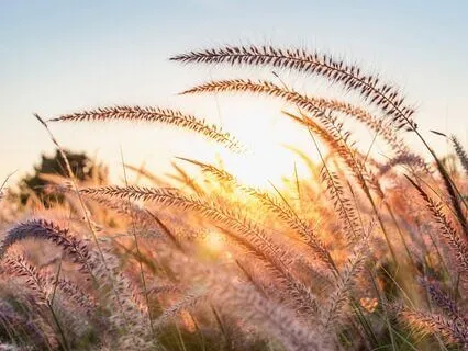 Mindfulnessmeditation för barn - liggande kroppskanning