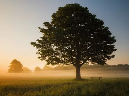 Mindfulness: Be Present And Manifest 