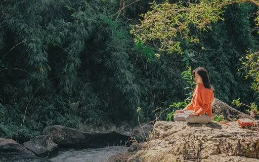 Mindscape 3 Meditation Music