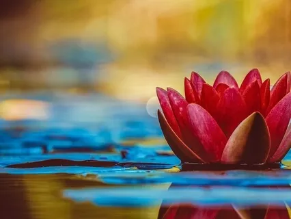 Mindset Affirmations Meditation (Short Version)