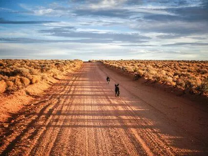 Mindset For Positive Thinking