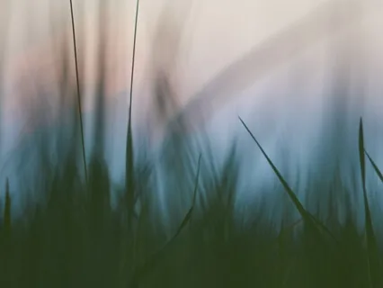 221Hz Alpha | Flow | Binaural Beats