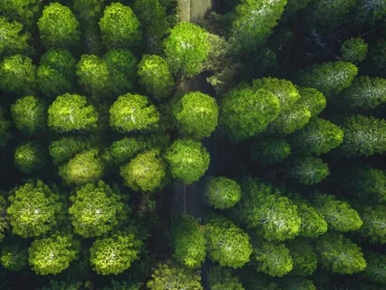 210Hz Theta | Energy | Binaural Beats