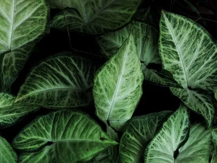 The Complete Deep Meditation Journey | Binaural Beats