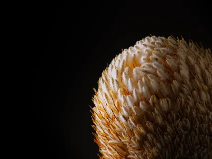 MindTravel For Clarity & Focus