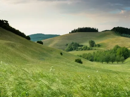 MindTravel SilentHike 20