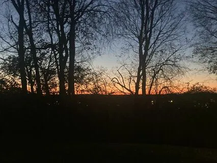 Mindfulness Meditation For Beginners