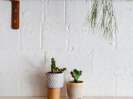 冥想入門系列 2 - 感覺