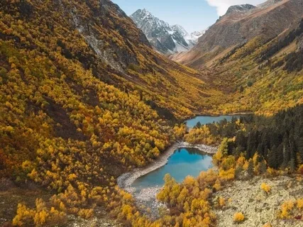 冥想入門系列 3 - 放慢和放鬆