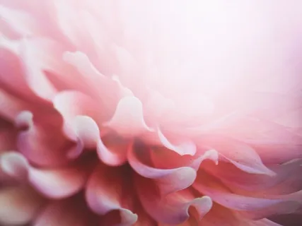 冥想入門系列 1 - 觀察呼吸