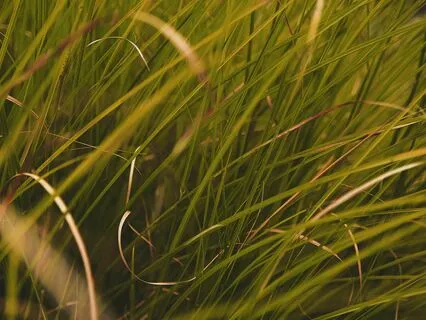 Mini 10-Breath Meditation