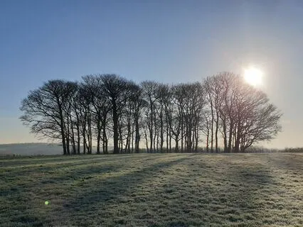 Mini Christmas Meditation