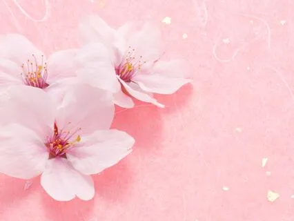 Mini Gratitude Practice: 4 Minutes To Shift Your Energy