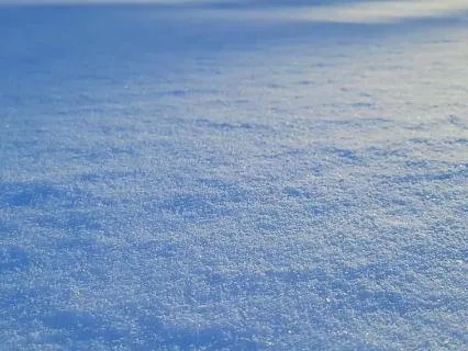 Body Scan For Presence & Embodiment