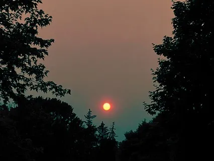 Mini Guided Sleep Practice & Brown Noise Sounds (1-Hour)