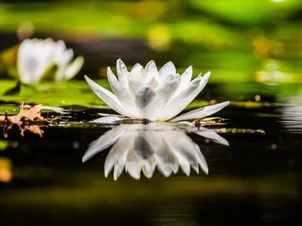 Mini Medi  Awaken Intuition