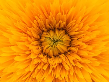 Mini Medi - Happiness