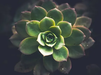 Mini Medi - Meditation For Confidence - 3 Min Power Pose 