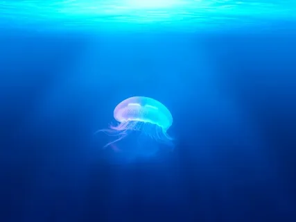 Mini Medi - Peace With 3 Breaths