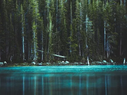 Mini Medi - Phantasy Journey, Home Is Where Your Heart Is