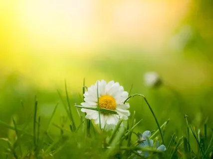 Mini Medi - Present Of Life 