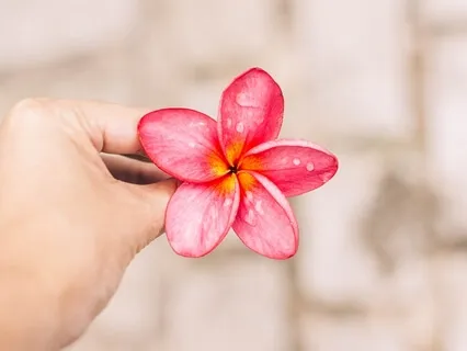 Mini Medi: What is Tantra? - Holiday For The Heart