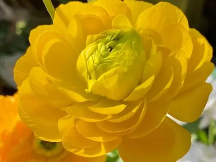 Mini Meditation For Anxiety Relief And Sound Healing Therapy