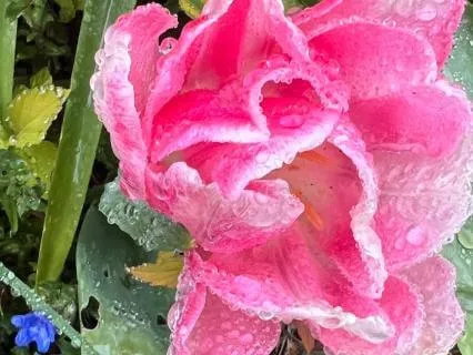 Mini Meditation To Ease Chronic Pain, Anxiety And Stress