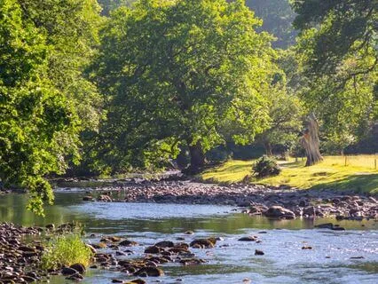 Mini Meditation For Control Freaks