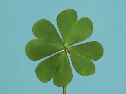 Mini-Meditation - Cultivate Inner Peace In The Moment