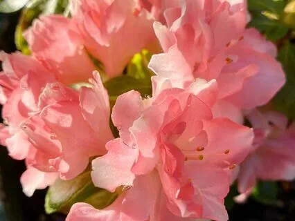 Mini Meditation For Stress Relief With Sound Healing Therapy