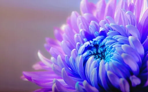 Mini Meditation | Let Go Of Stress in 1 Minute