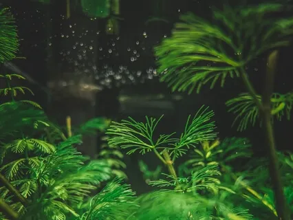 Mini-MEDItation: Release Negative Energy 