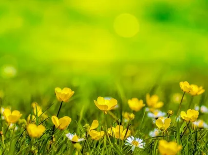 Mini Meditation To Focus Your Attention On An Object