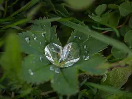 Mini Metta Meditation