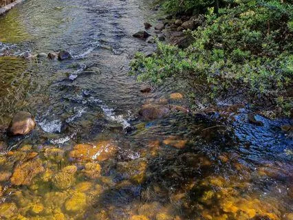 Mini-Mindfulness Of The Senses