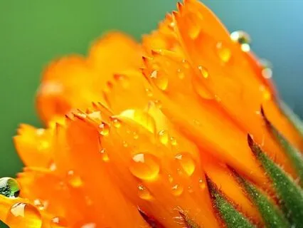 Mini Morning Mindful Meditation To Spark Joy And Happiness