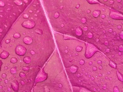 Mini Pink Tourmaline Reiki Session