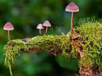 Mini-Practice #1: Clearing A Busy Mind 